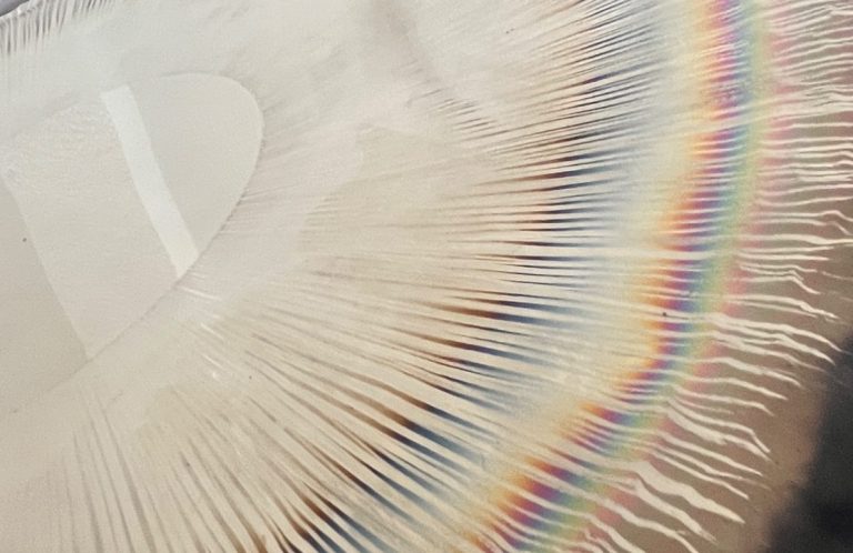 Eine Gewürzbox mit acht kleinen Behältern, gefüllt mit verschiedenen Gewürzen.